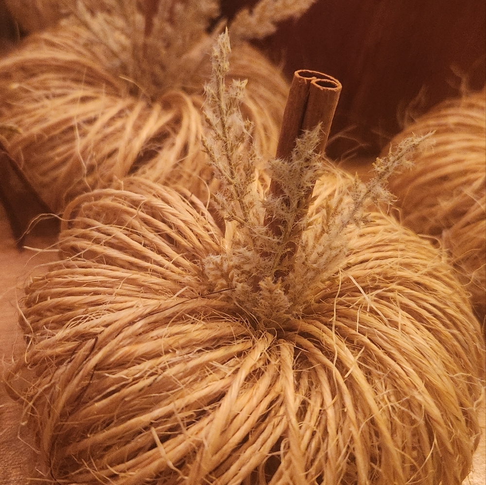 Pumpkin twine, home decor